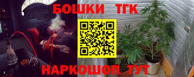 молекула духа Новозыбков