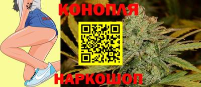 молекула духа Новозыбков