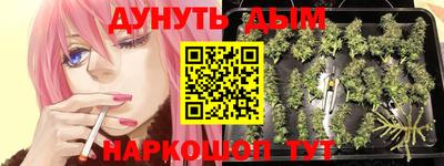 молекула духа Новозыбков