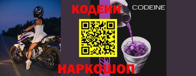 молекула духа Новозыбков