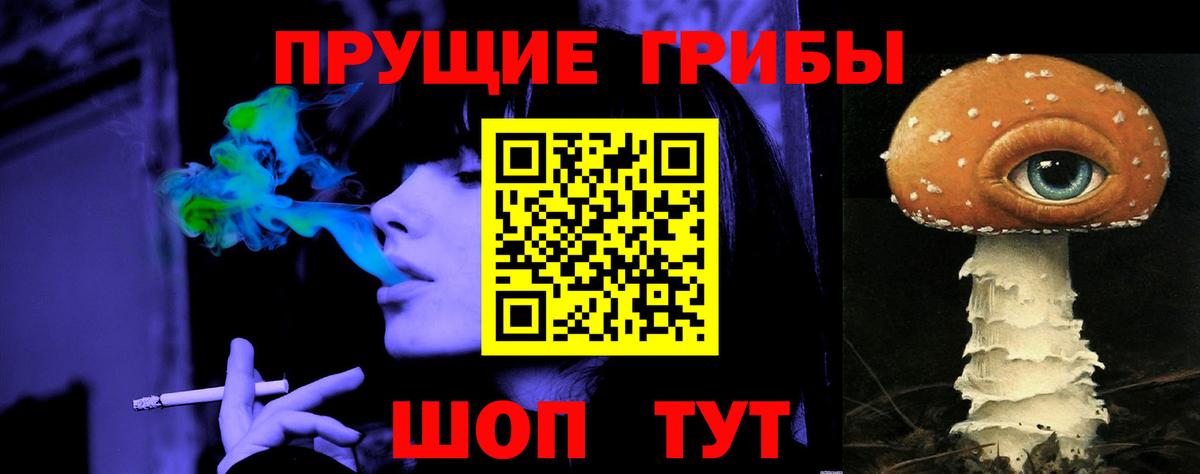 Электрогорск  Галлюциногенные грибы Magic Shrooms  Вход с VPN 